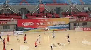 《初音未来：缤纷舞台》新官方粉丝书将于明年1月发售