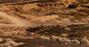 西甲第29轮裁判安排：富埃尔特斯执法皇马，胡安-桑塔纳执法巴萨